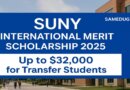 SUNY International Merit Scholarship 2025