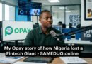From PayCom to OPay: How Nigeria Watched a Fintech Giant Slip and Scale